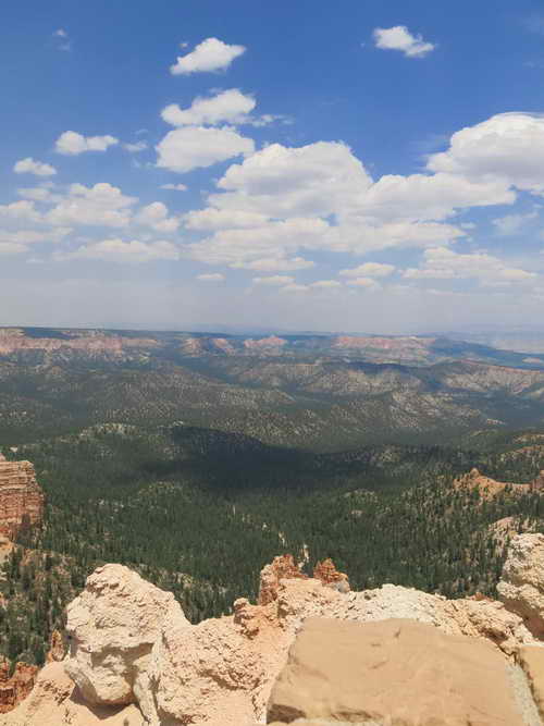 USA_2013-07-10 12-45-45_IMG_1480